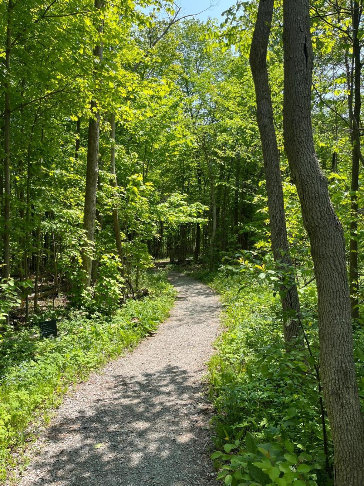 Stunning Stayz At Friday Harbour Beach Marina Resort Lake Simcoe Innisfil Екстер'єр фото